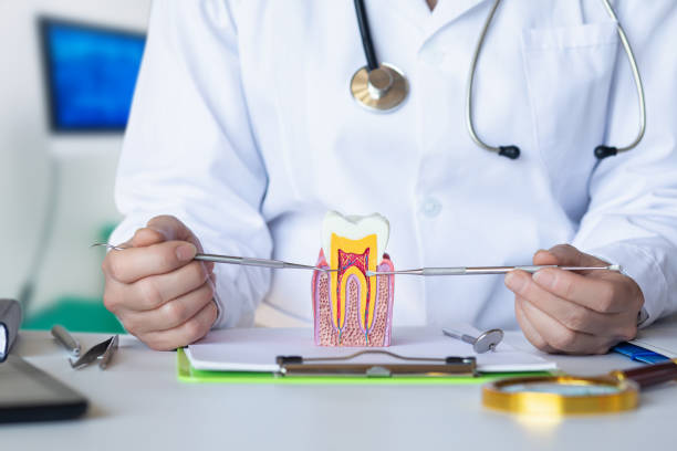 Best Emergency Orthodontic Repairs in New Boston, OH